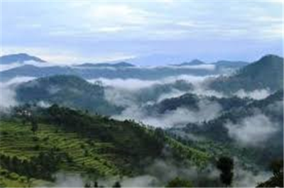 Nainital, Corbett and Kausani Tour